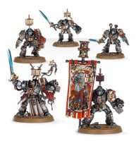 Warhammer 40000. Grey Knights Paladins